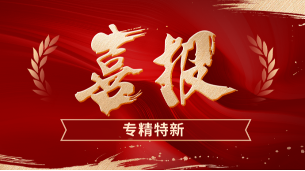 再度入选！澳门世界杯获评“深圳市专精特新中小企业”认定