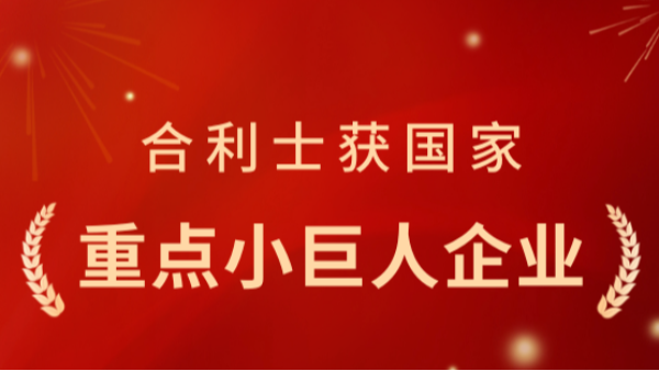 从小巨人到重点小巨人：澳门世界杯凭什么再获国家认可？