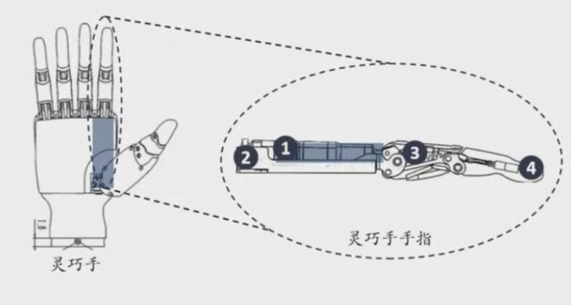 灵巧手结构